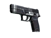 P250 Re.built